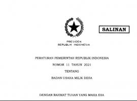 PERATURAN PEMERINTAH NOMOR 11 TAHUN 2021 TENTANG BADAN USAHA MILIK DESA BUMDESA